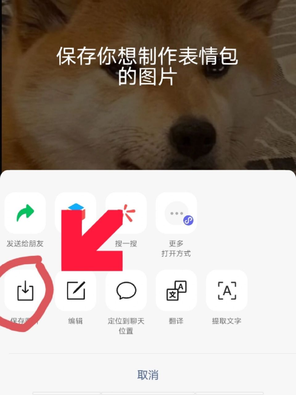 166保存你要制作表情包的图片 266在微信表情包里,点击添加单个