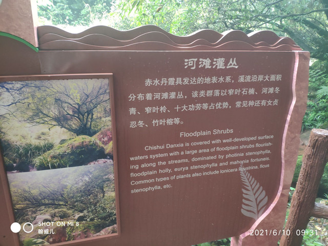 佛光岩景区(原名五柱峰景区)位于贵州省赤水市元厚镇