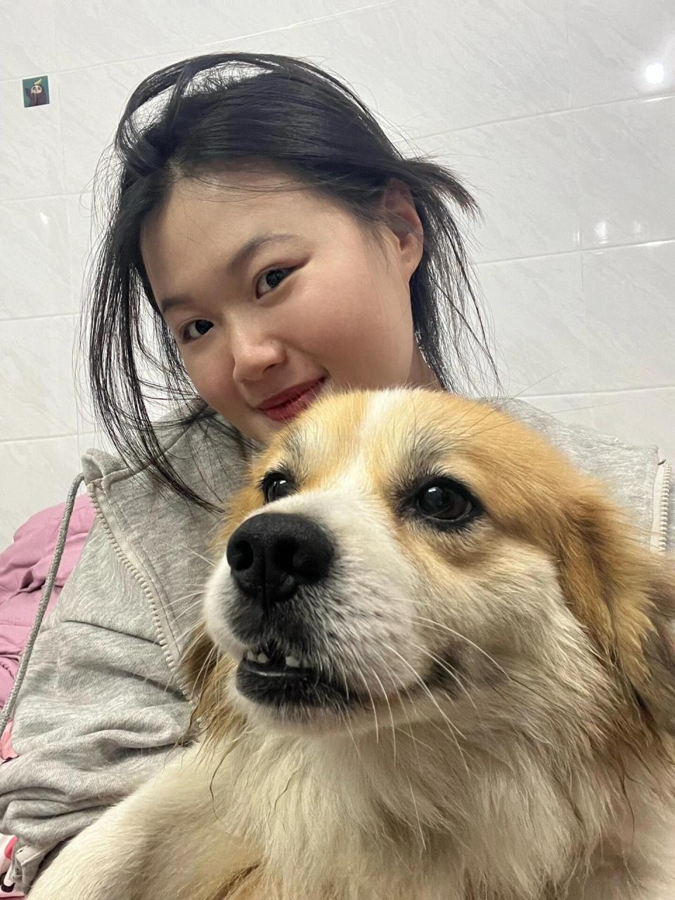 蝴蝶犬柯基串串图片