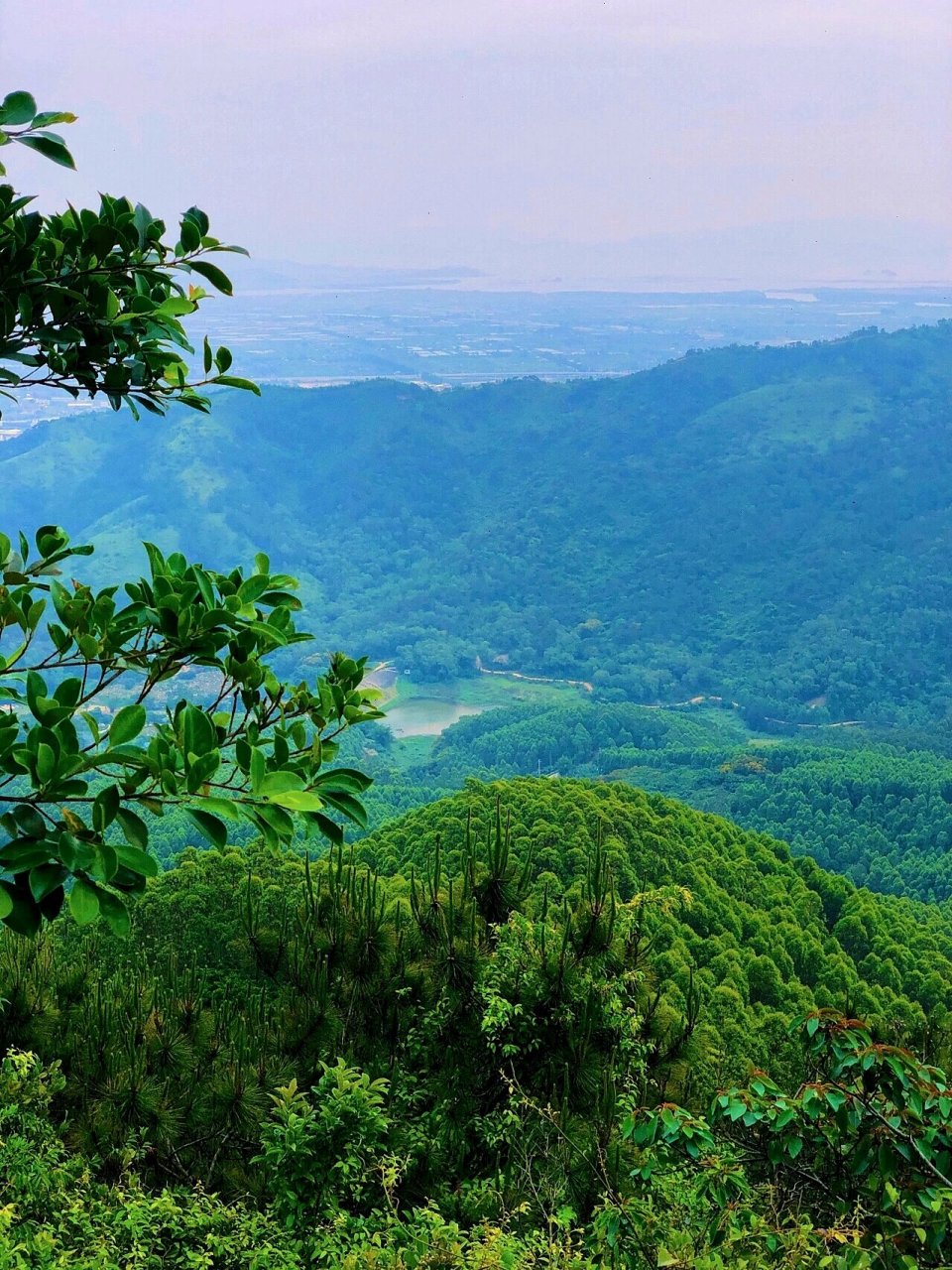 澄海莲花山成因图片