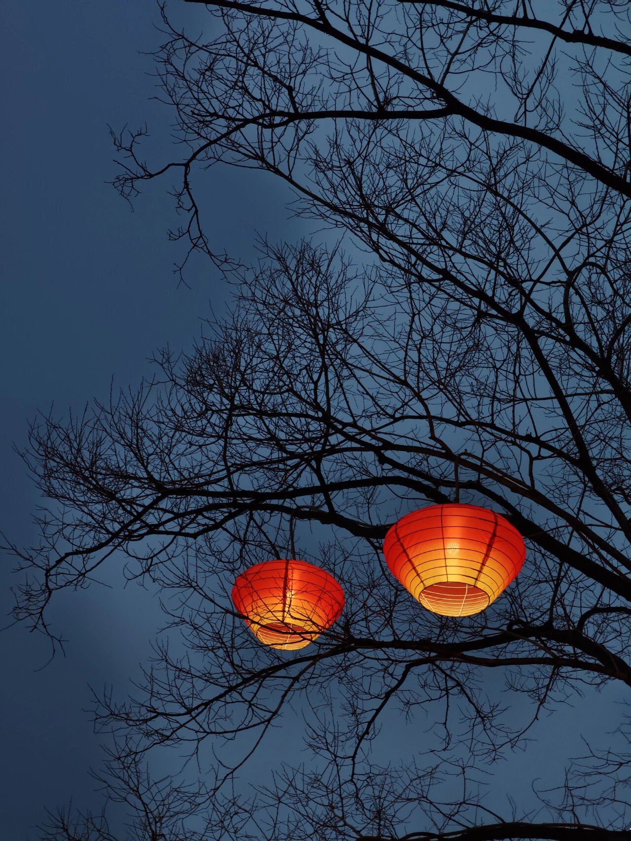 灯火阑珊     手机摄影 一场小雨下了一天