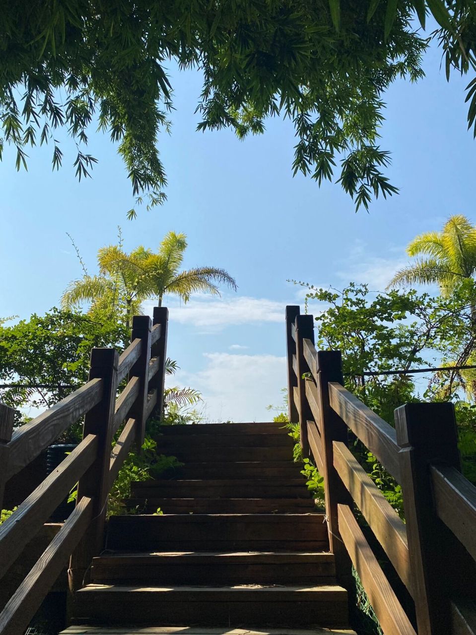 初探广宁竹林秘境|古水河太美了 行程亮点 绥江竹海生态旅游景区:竹海