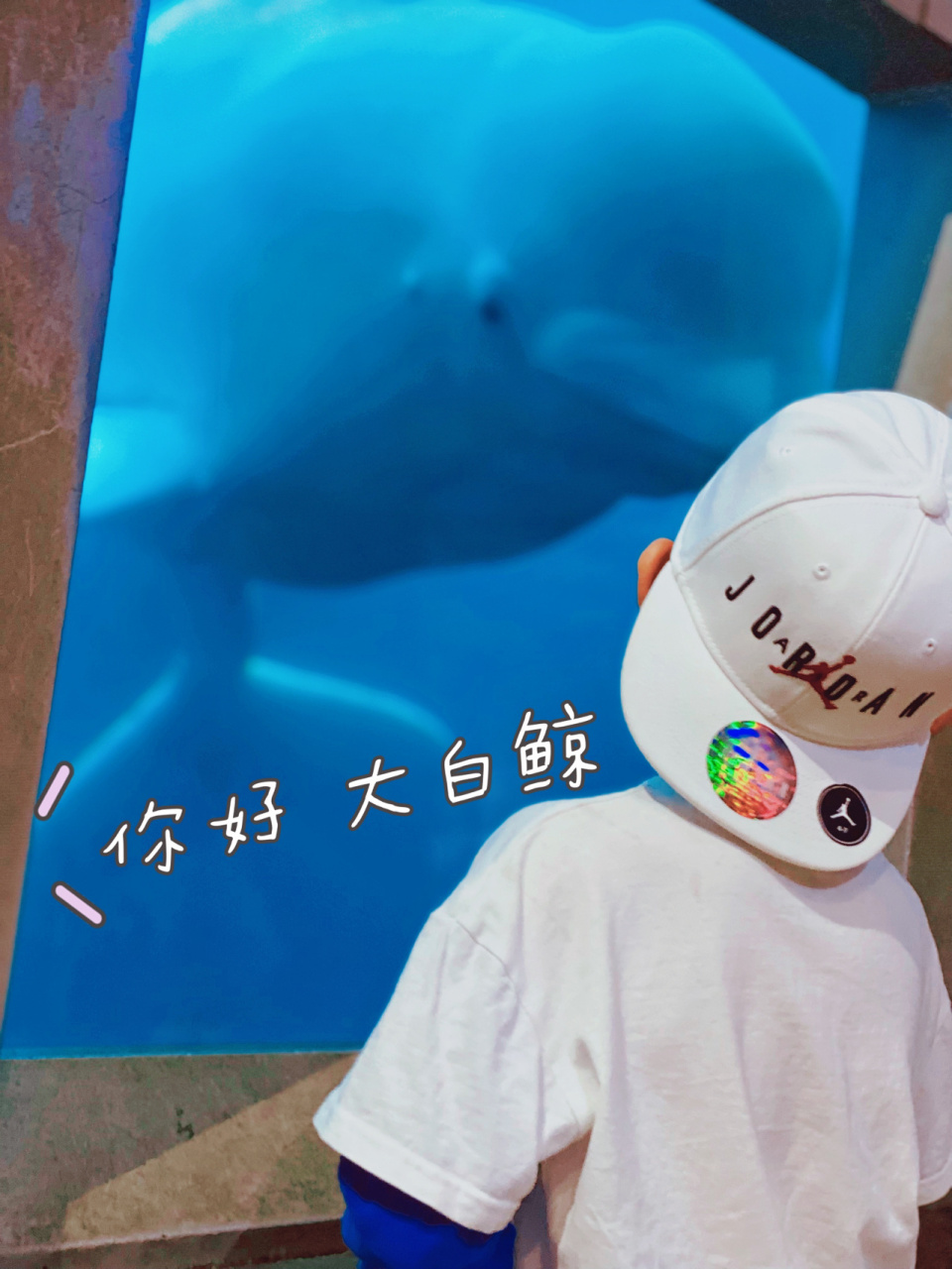 海洋世界|海底世界出游文案 5304 98 5304 98 5304