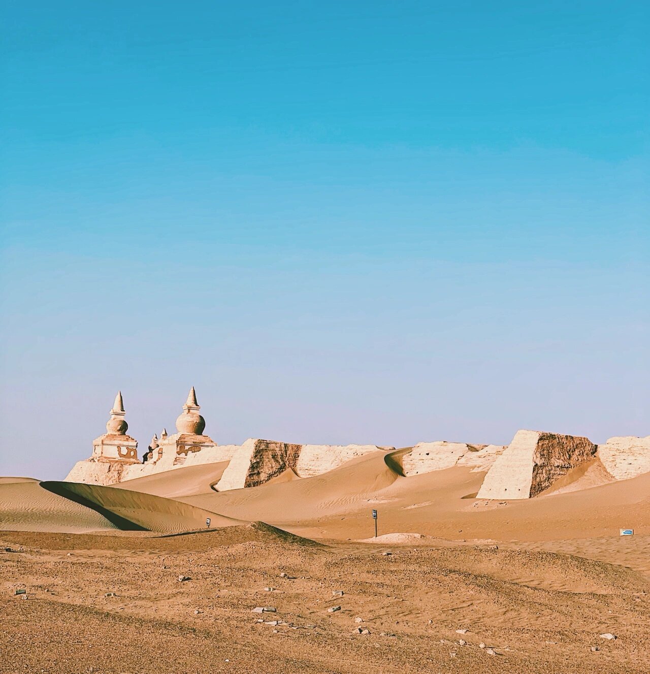 额济纳怪树林:一定要去真正的黑水城遗址