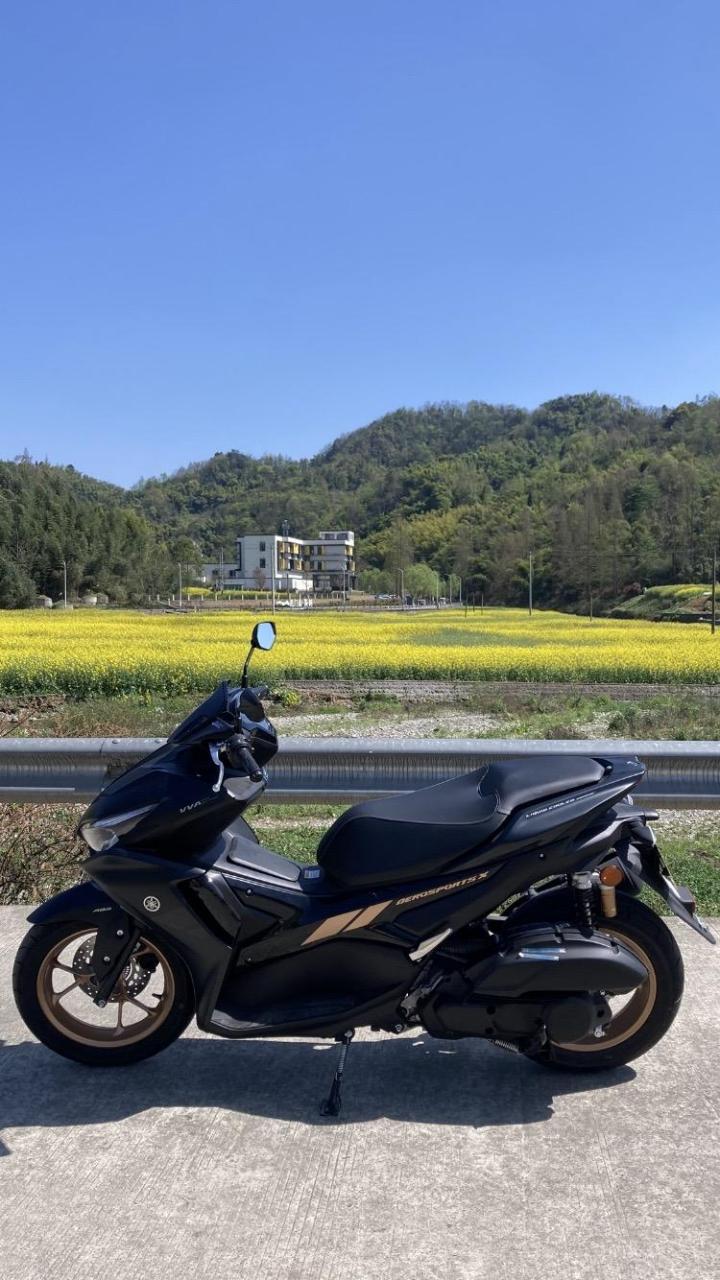 黑武士,阿洛斯!踏板摩托车