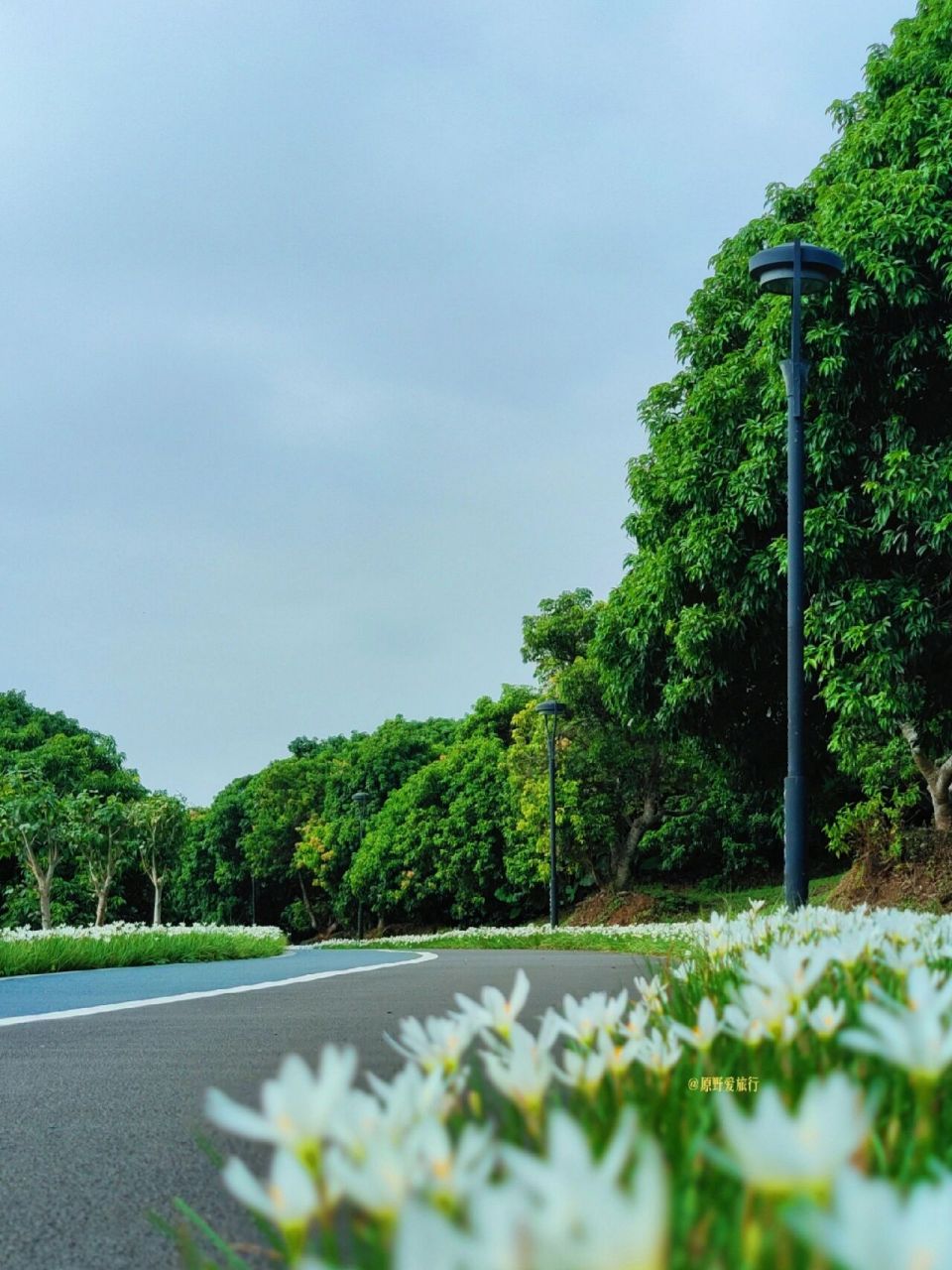 深圳徒步|马峦山绝美环湖绿道 攻略 969696969696这条