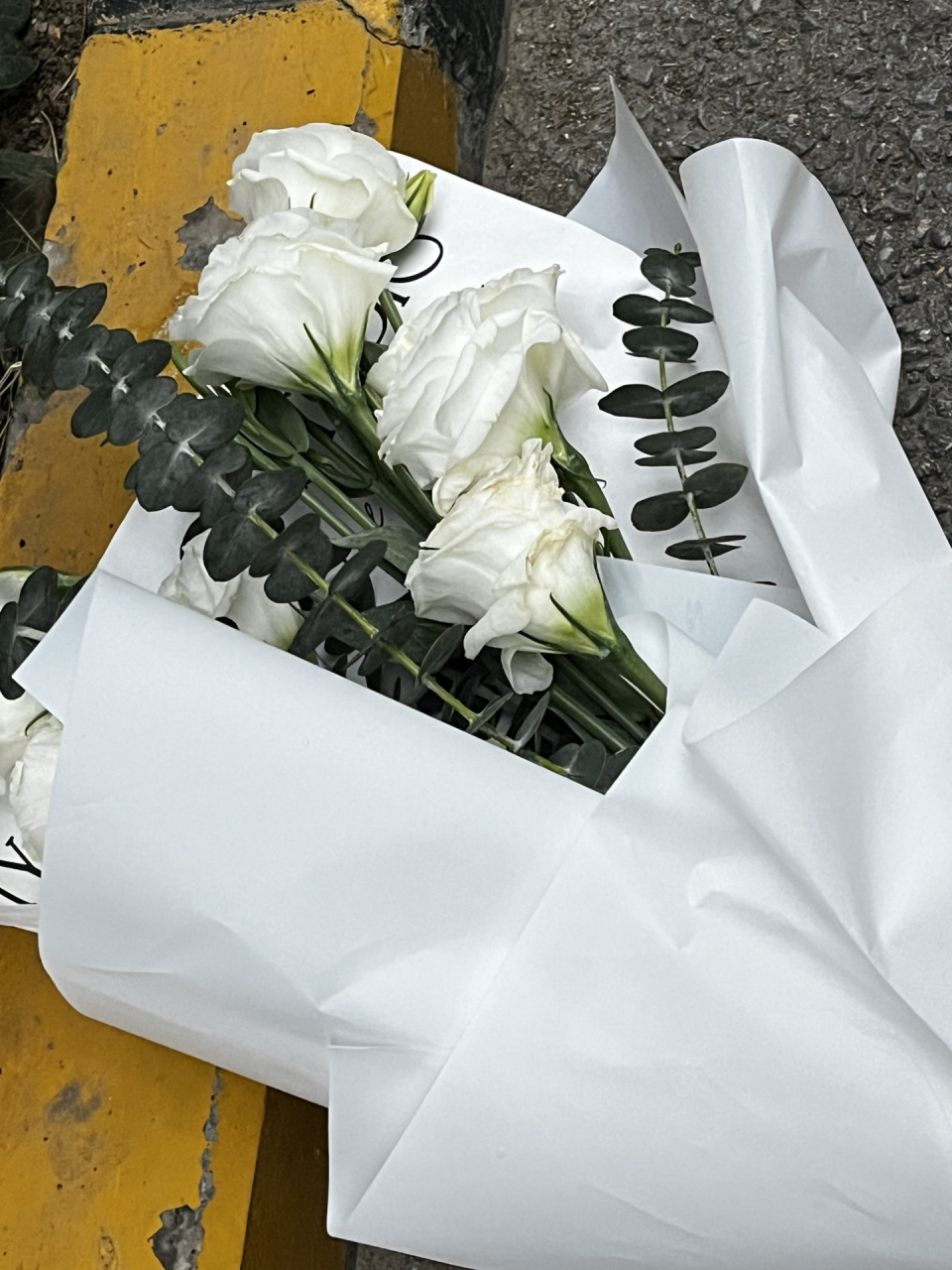 白色洋桔梗的花语: 永恒的爱