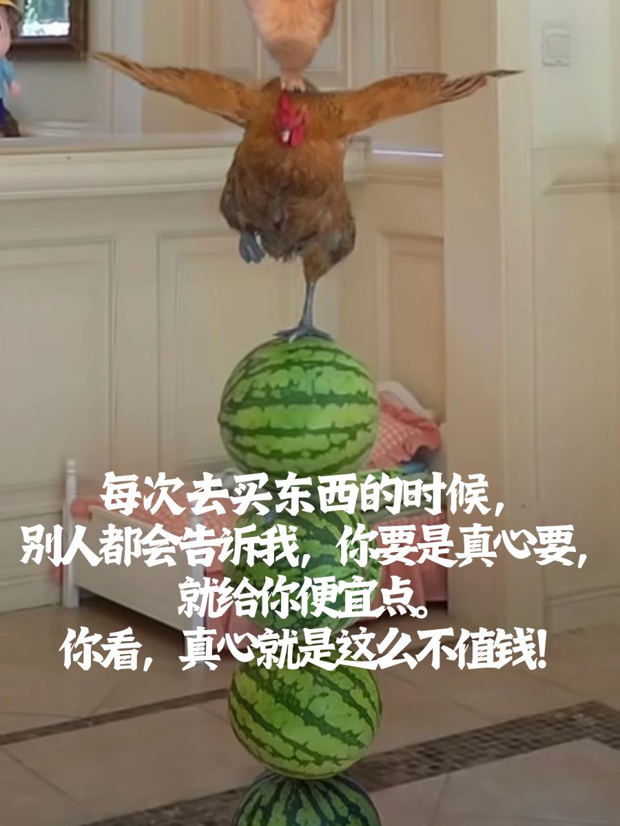 什么文案容易上热门搞笑 笑点低的人,泪点也低,幸好笑点比泪点高那么