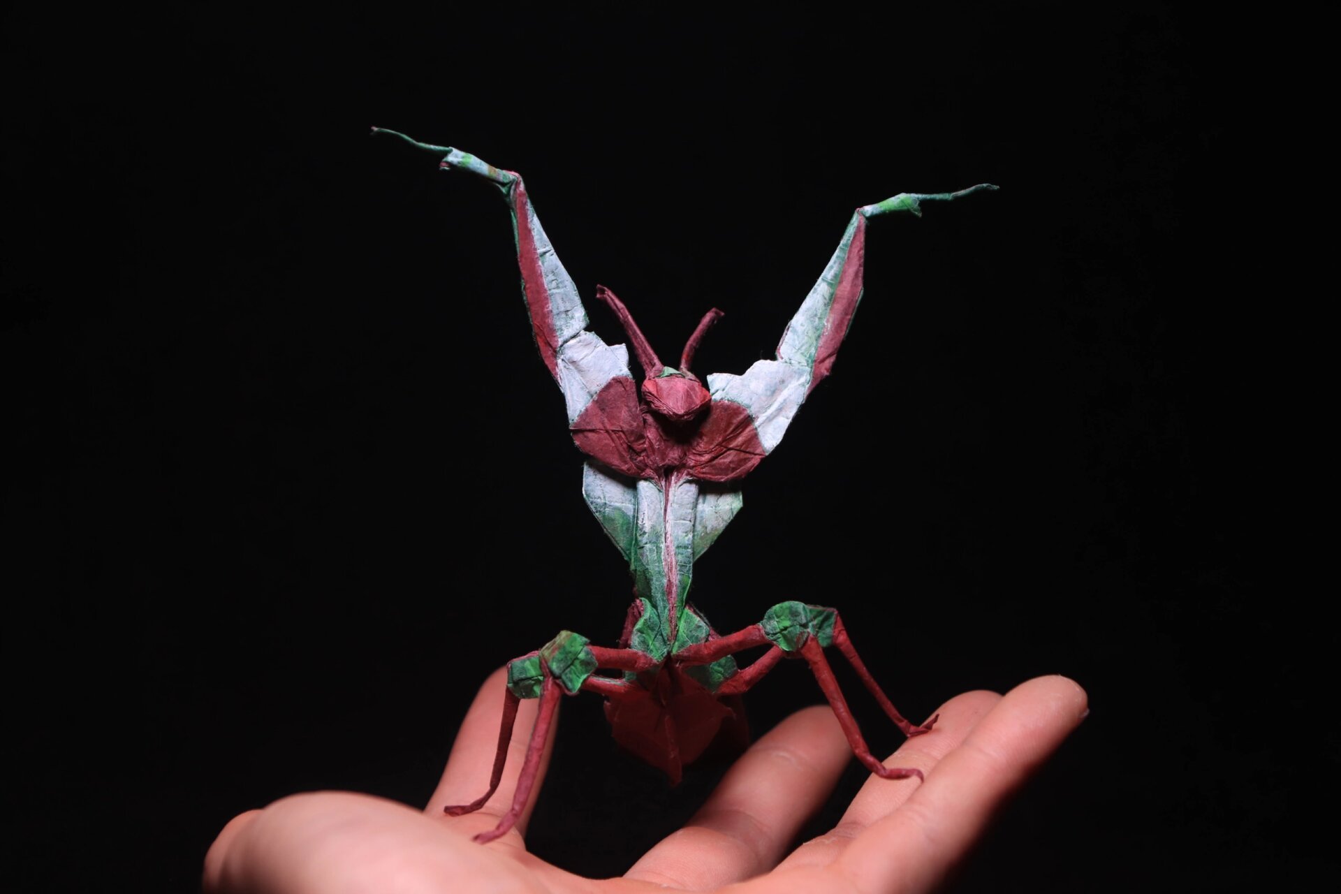 大魔花螳螂折纸-世界上最华丽的螳螂 大魔花螳螂 67设计&折拍:我