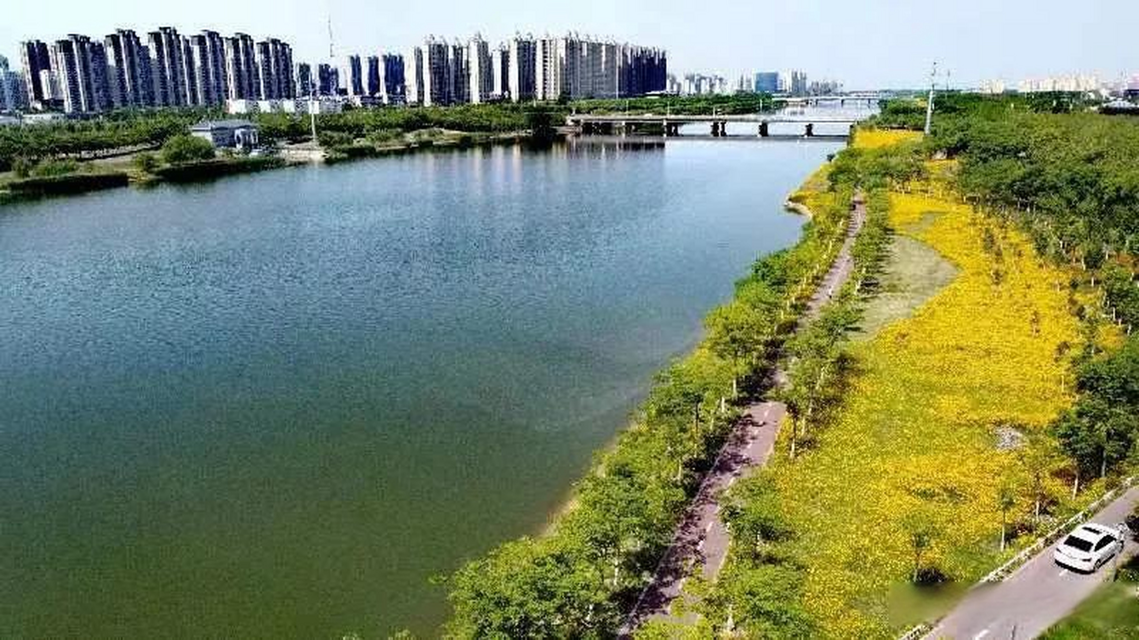 初夏游汴河 景美韵味浓 5月15日,宿州市新汴河碧水蓝天,水绿如蓝