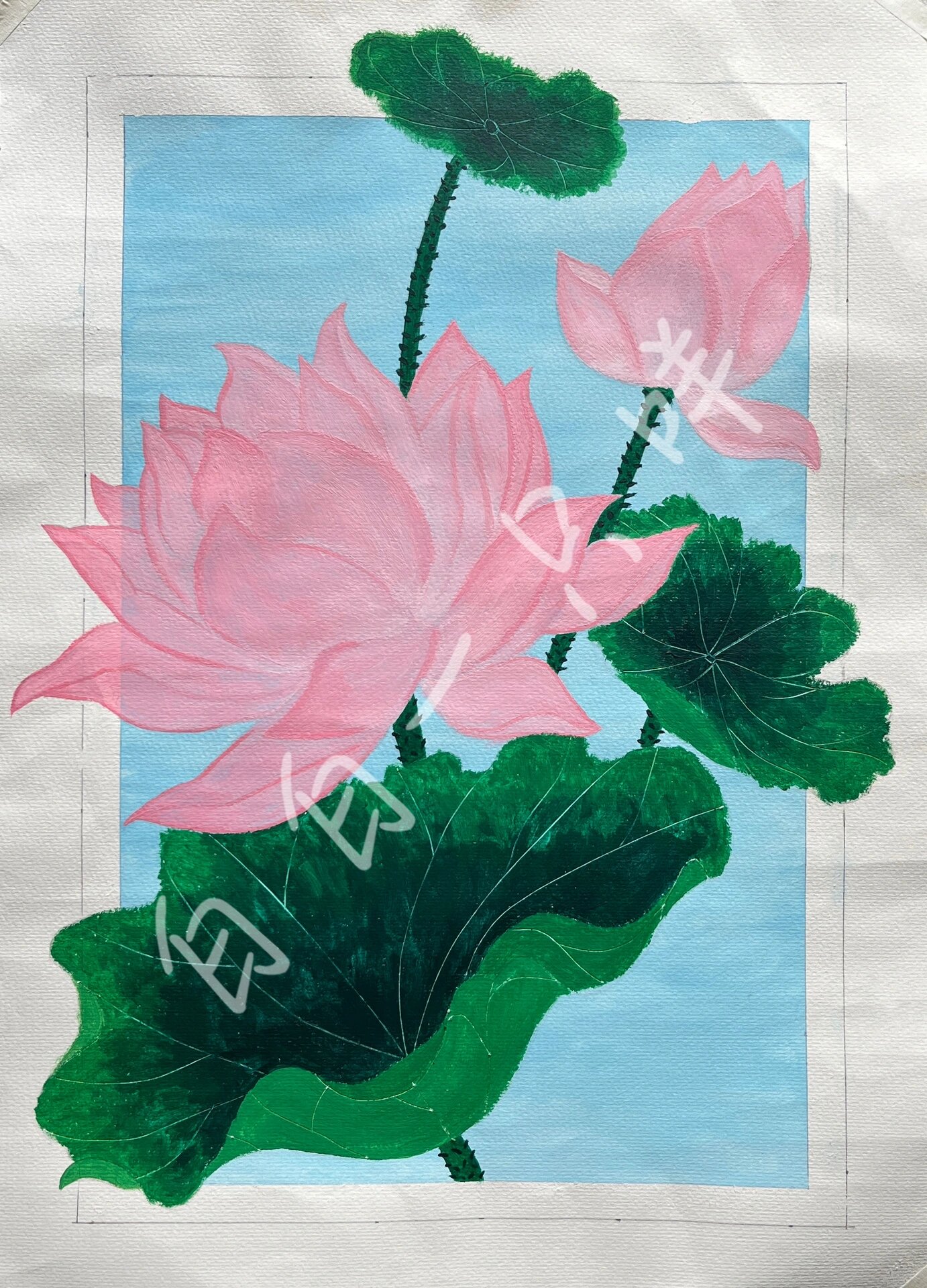 水粉绘画(荷花