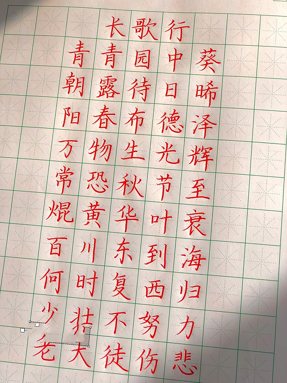 《长歌行》少壮不努力 老大徒伤悲 古诗临摹《长歌行》