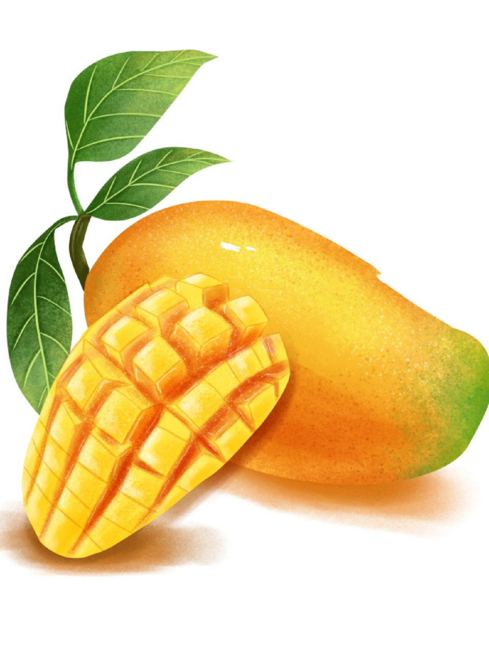 原创水果芒果插画绘画步骤 工具:ps 高漫手绘板 平时水果画得比较少