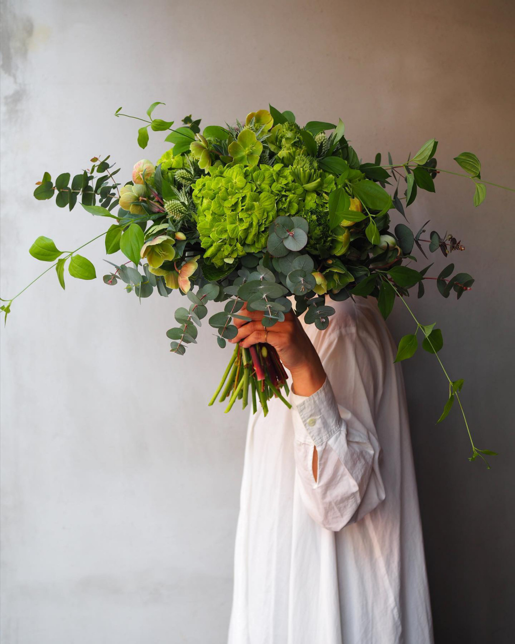 圆叶尤加利,绿色花束 植物不可或缺的色调.