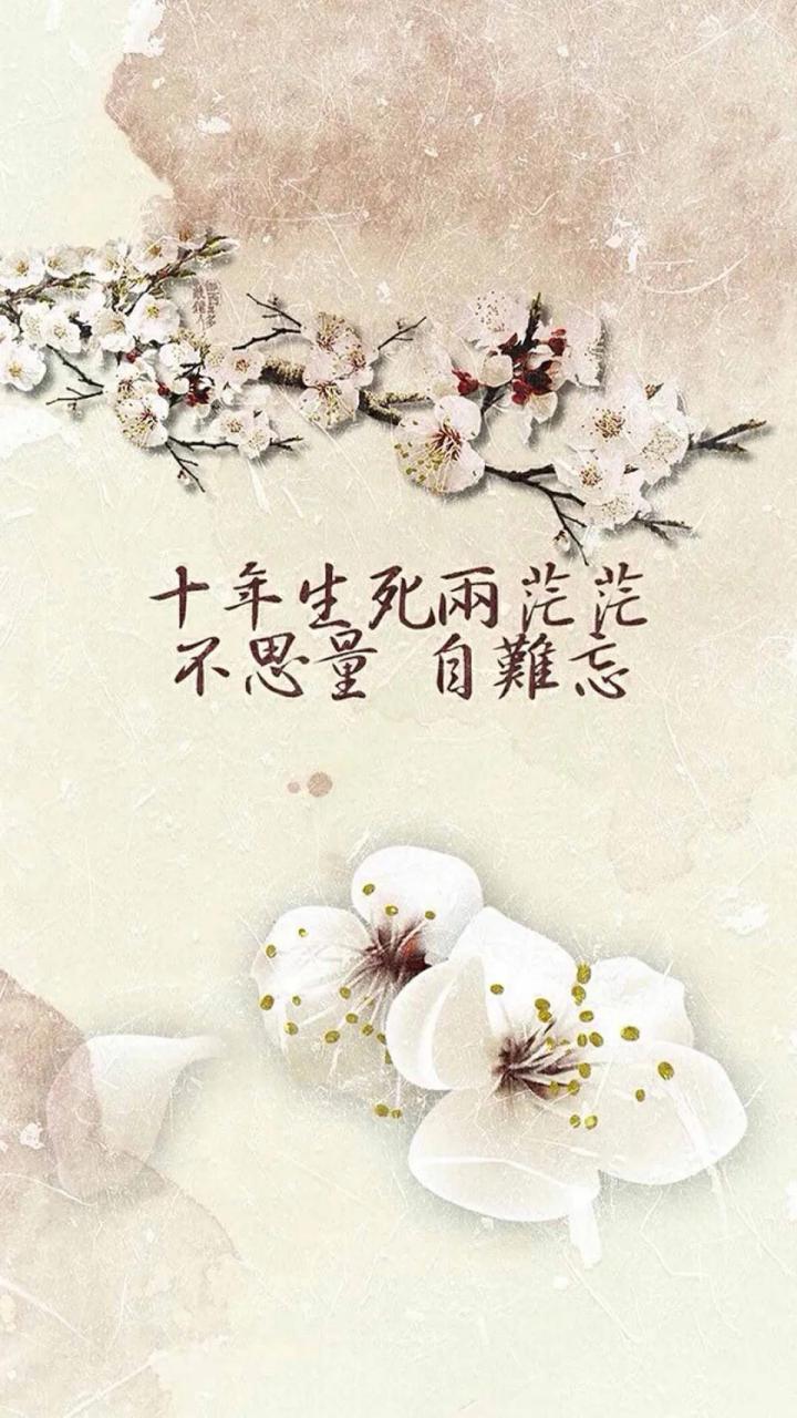 十年生死两茫茫,不思量,自难忘.  十年,不长也不短.