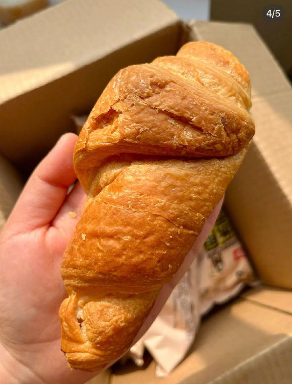 桃李 巧乐角面包23六个