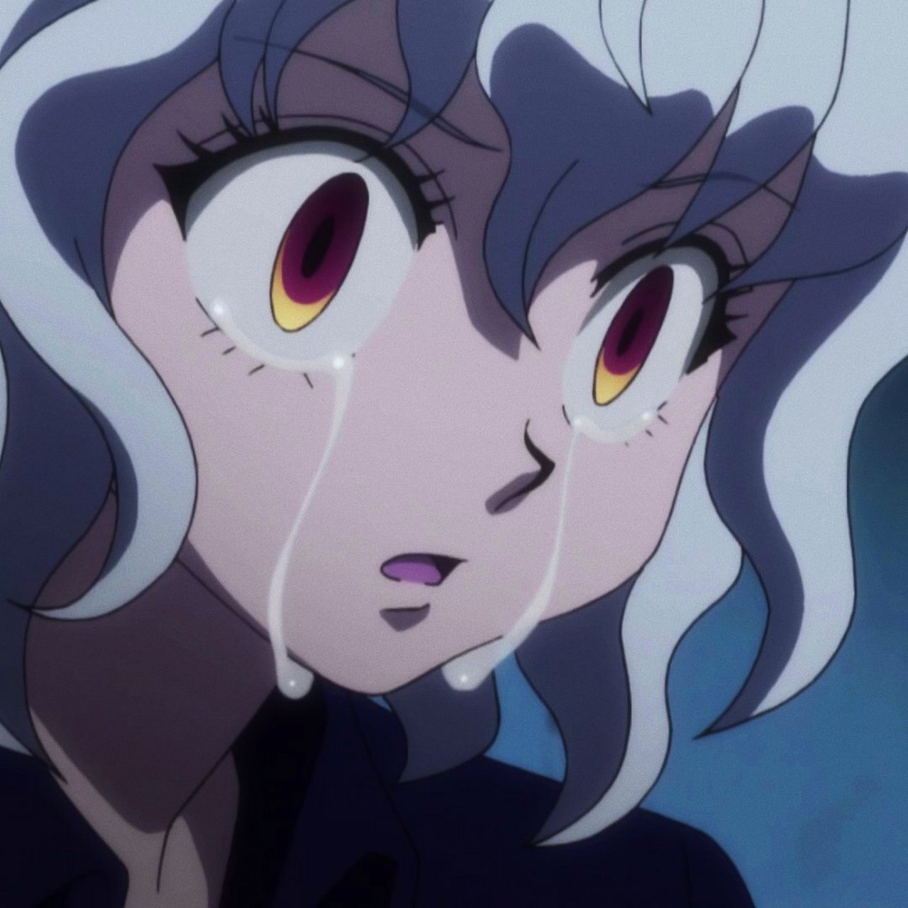 发一波尼飞彼多头像