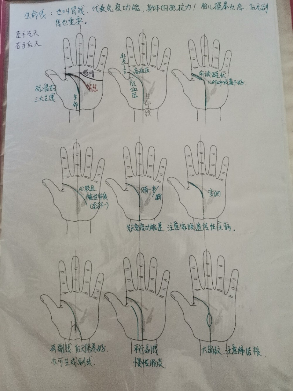 掌纹的秘密:每条掌纹,都是你身体状态的反馈,它可