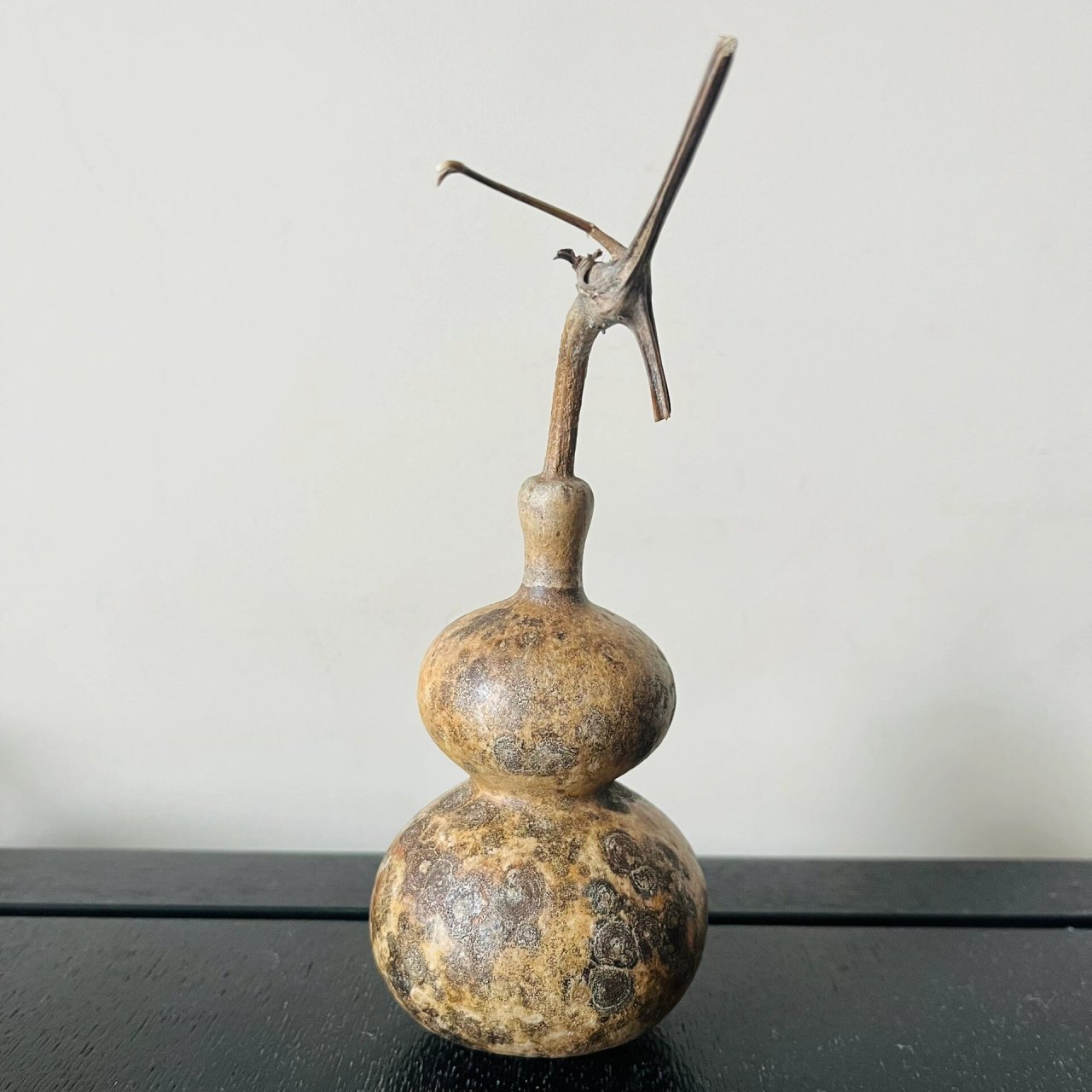 花皮葫芦打不打皮 好纠结这把花皮打不打皮 想打完皮盘玩 但怕打完皮