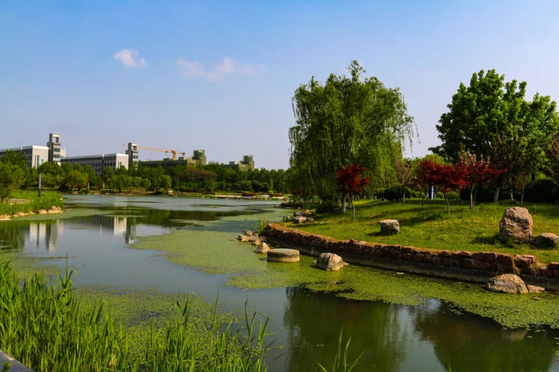 漯河医专风景图片