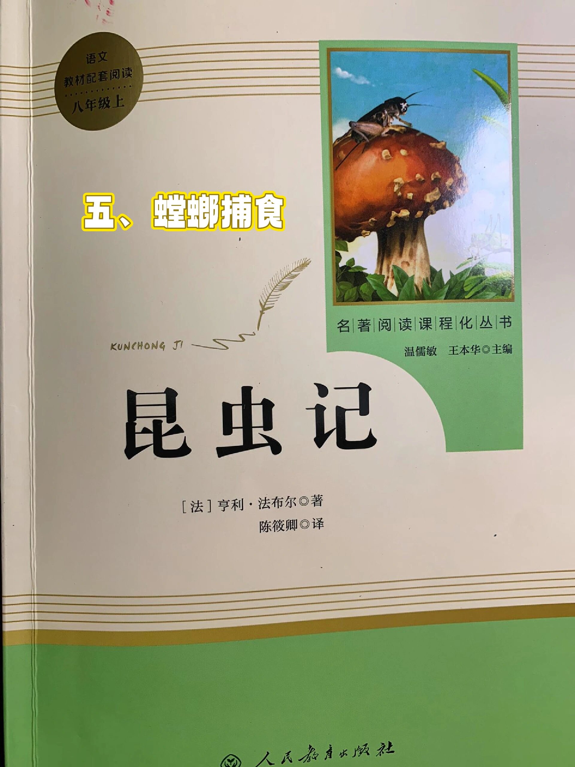 昆虫记 第五篇 螳螂捕食