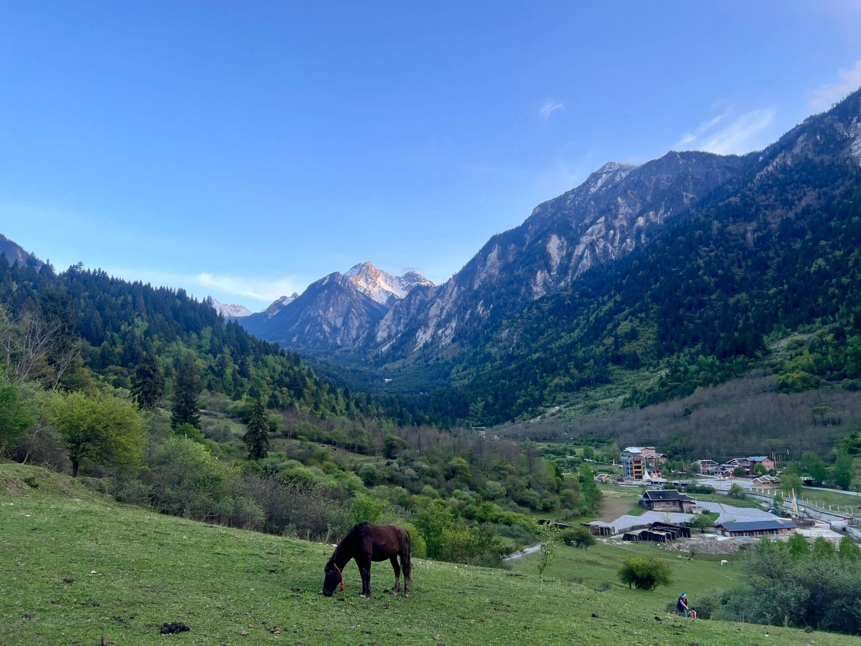 九寨中查沟游玩攻略,希望对你有用哦! 这里有蓝天彩林,这里有雪山🏔