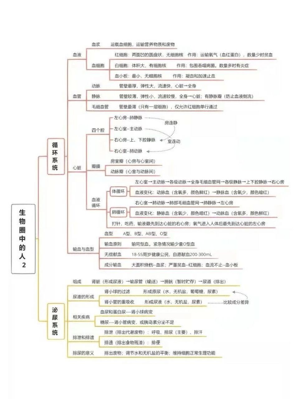 地理生物圈思维导图图片