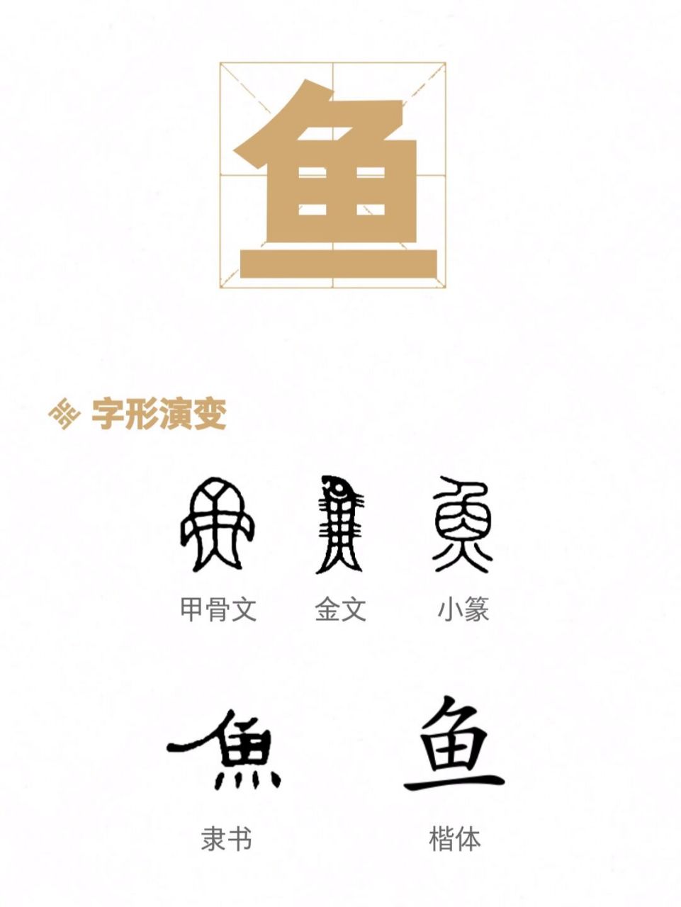 甲骨文【鱼】,很形象的一个字.