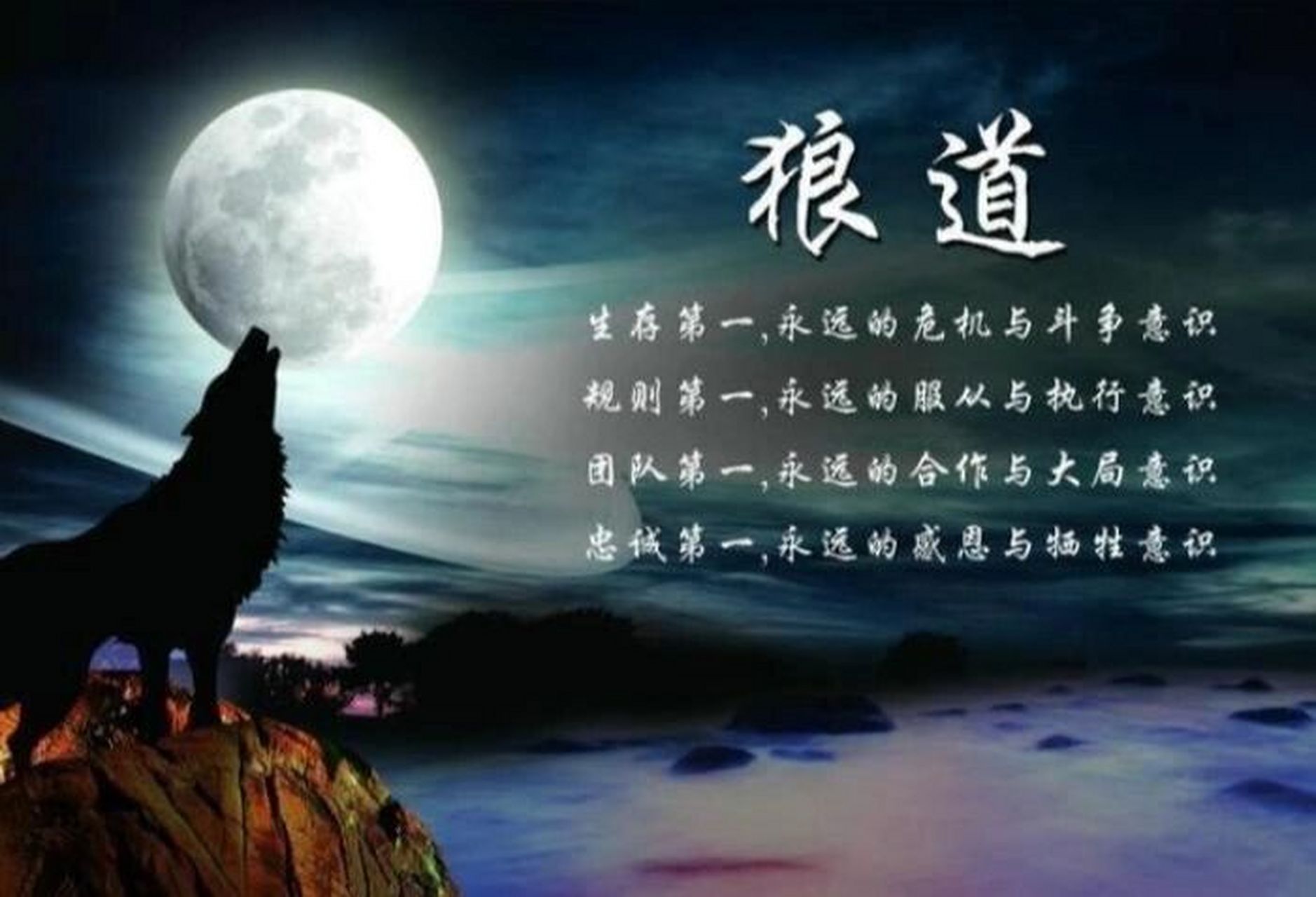 《狼道》:学习狼的精神!