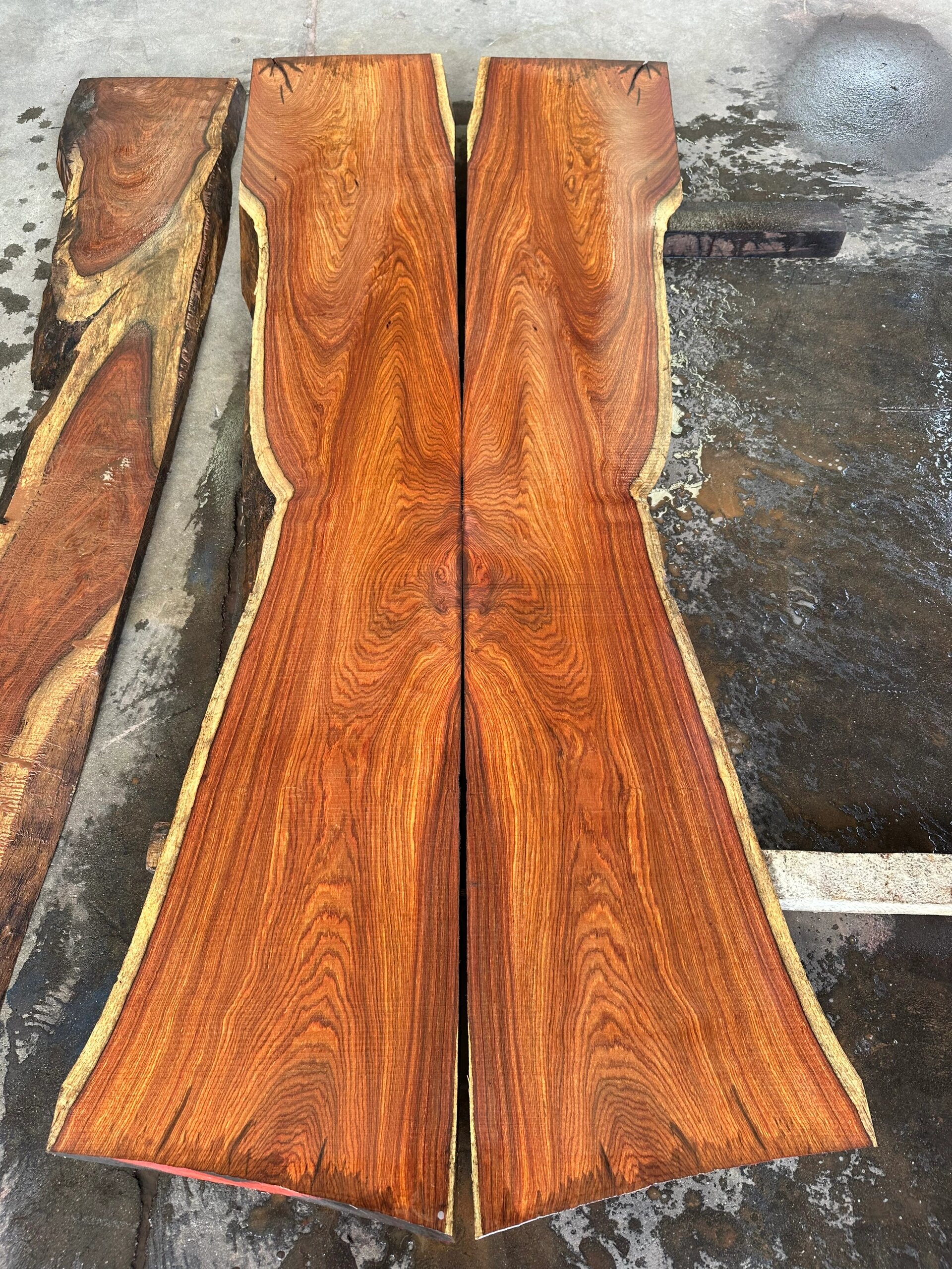 白菜价0101 国标红木刺猬紫檀冈比亚大板,美轮美奂!