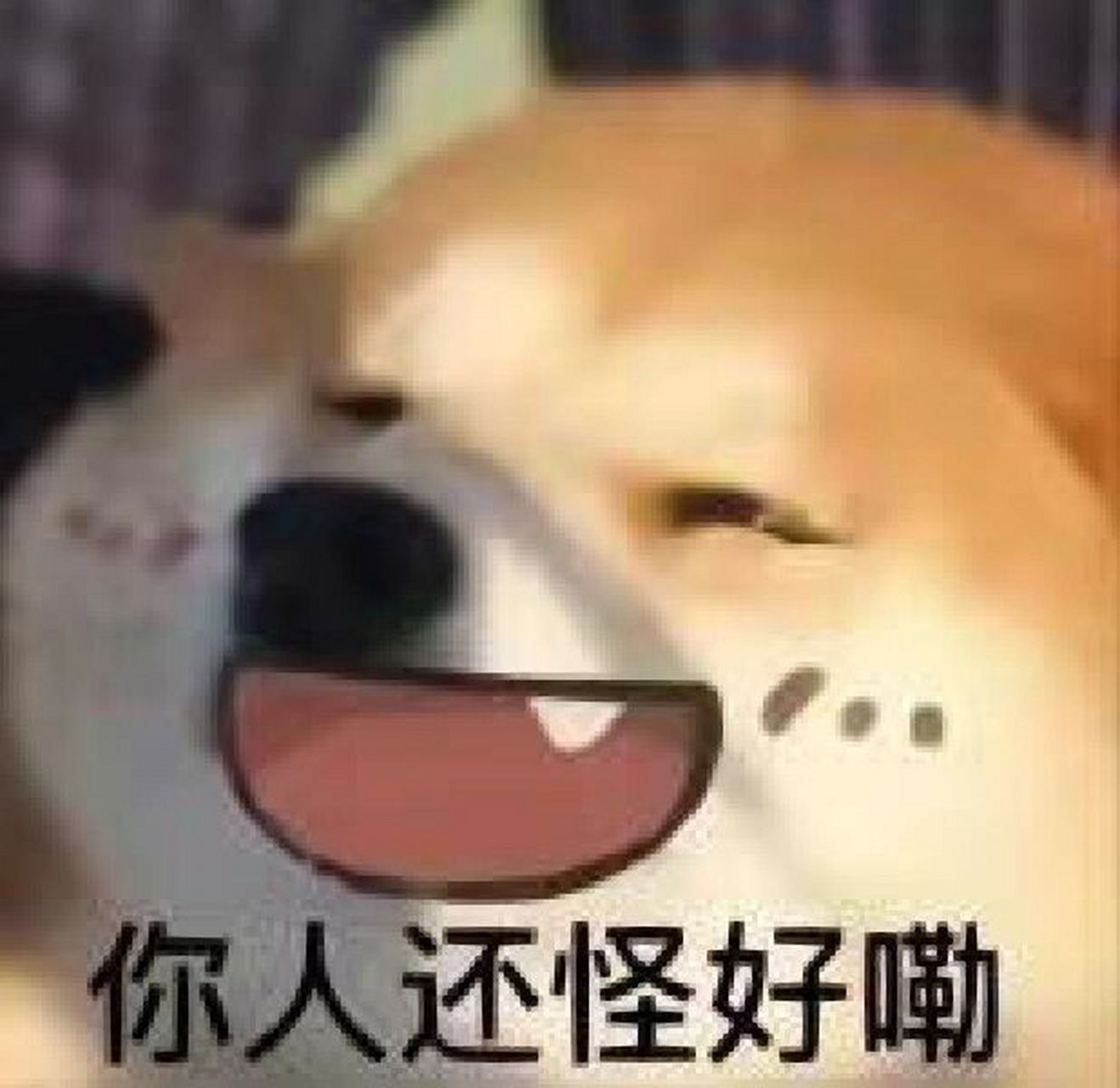 你人还怪好嘞表情包 收集了几天的表情包