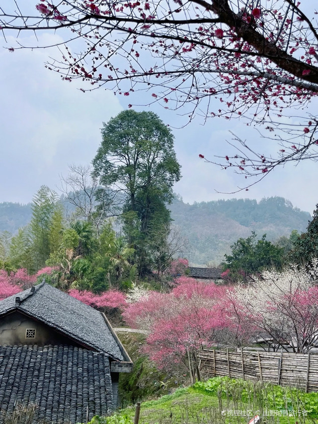 永顺陈家坡图片