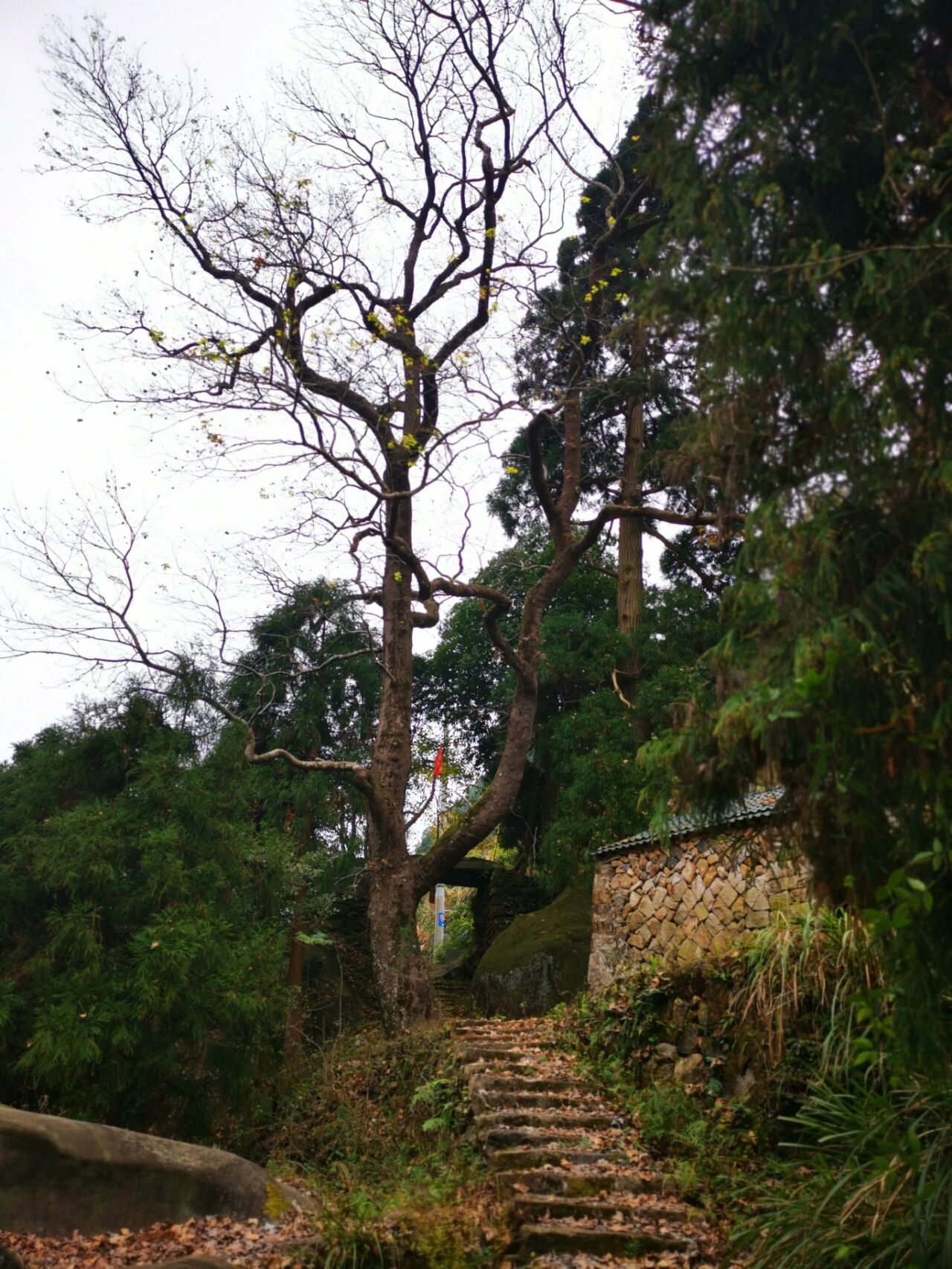 苍南县龙沙乡图片