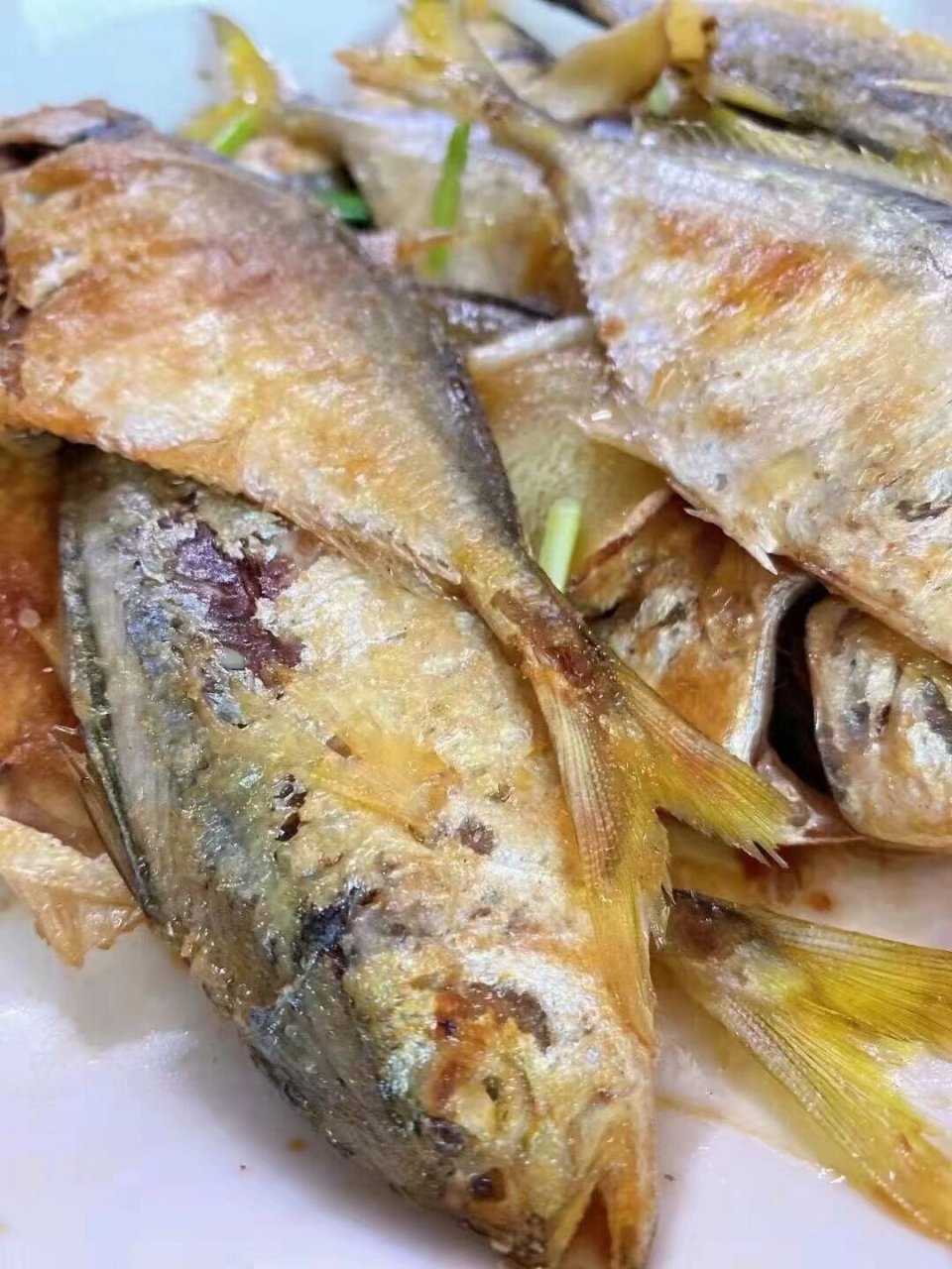 今日海鱼96分享:结尾鱼|野生海鲜 结尾鱼怎么做都好吃,香煎很费饭