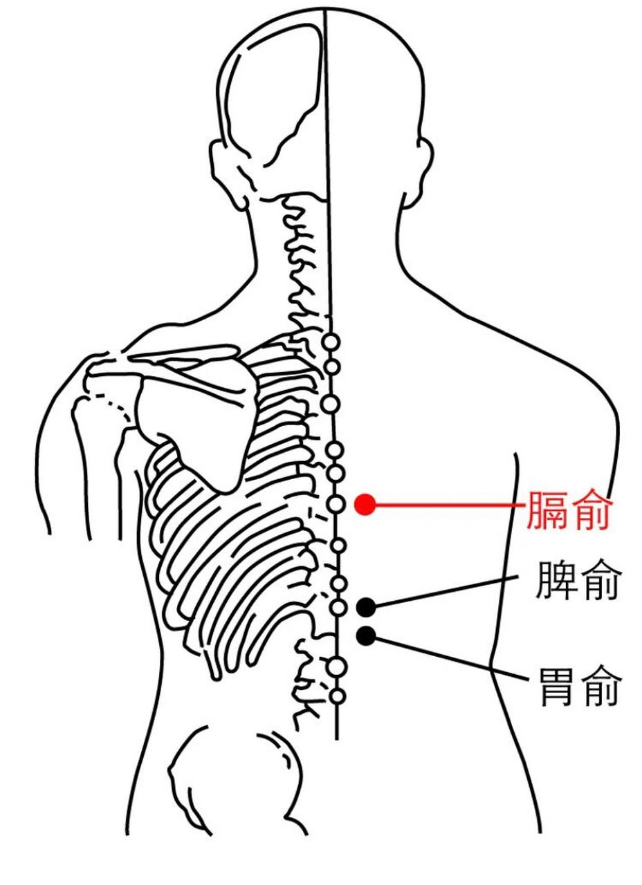 膈俞是八会穴之血会.