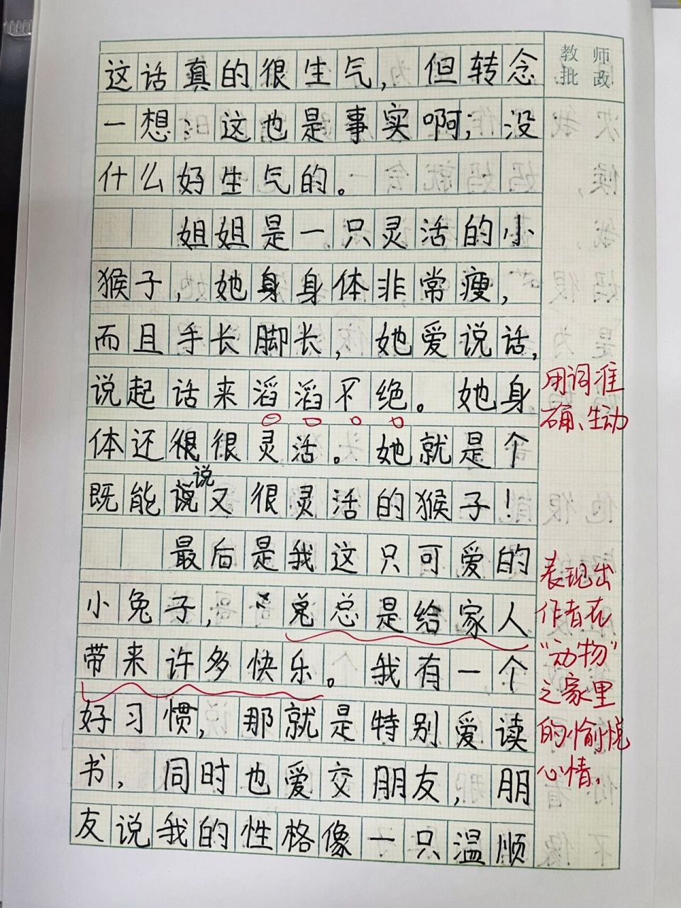 小小动物园100图片