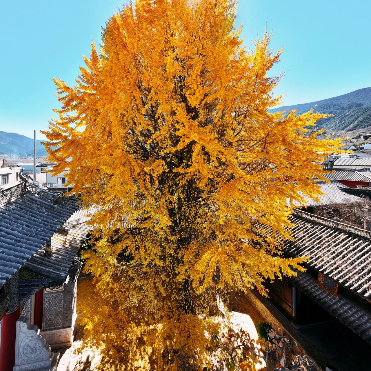 洱源县凤羽镇是一处保存完整的白族文化古镇,也是被徐霞客誉为"世外