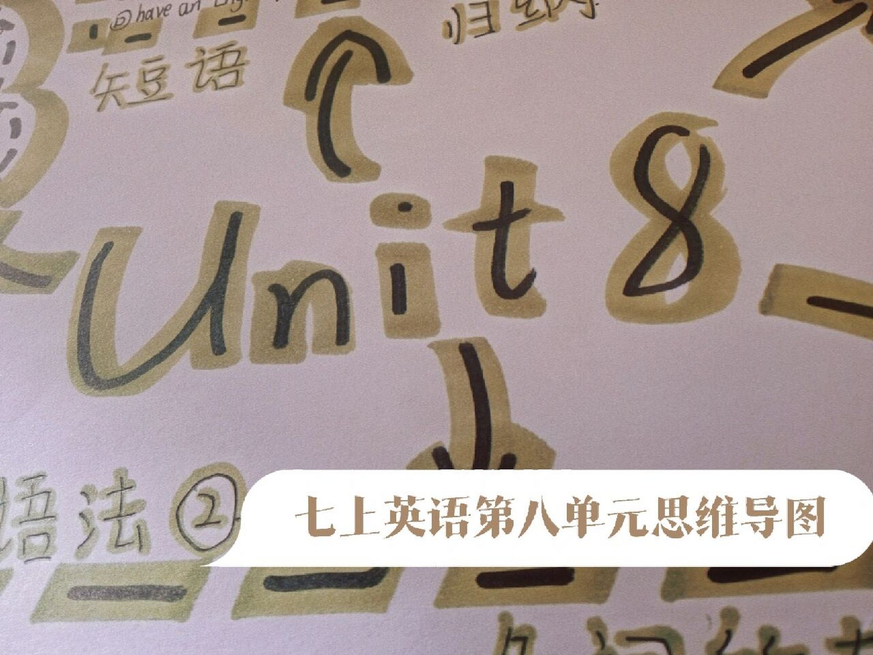 七上英语第8单元思维导图