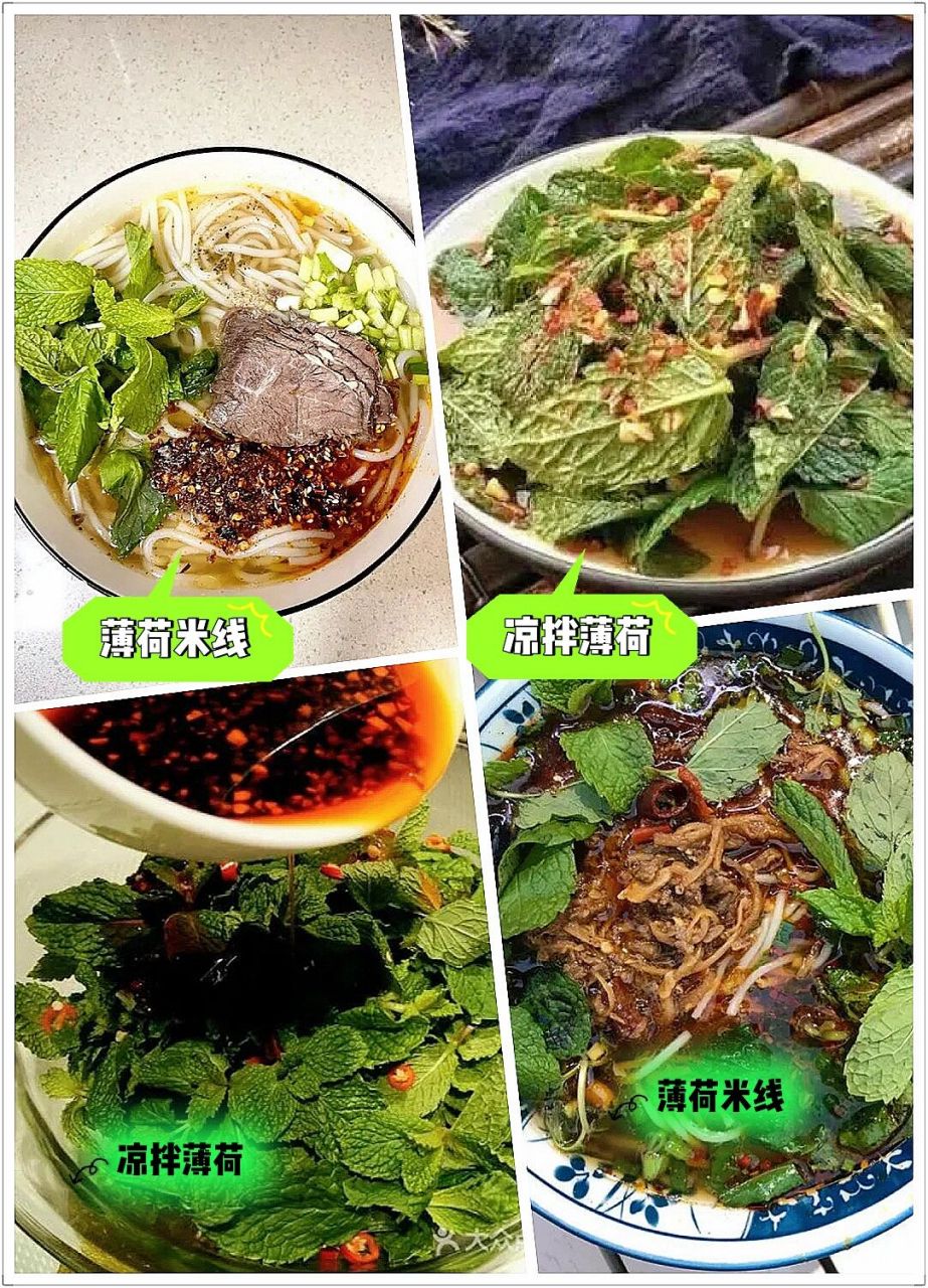 薄荷在云南的四种吃法 薄荷实际上算一种重要,能起到具有疏散风热,清