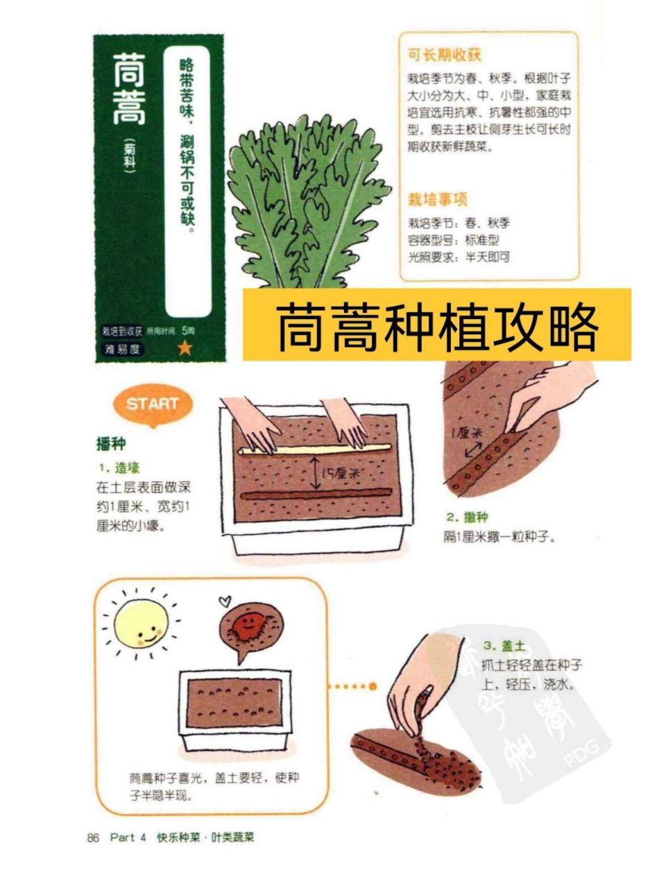 皇帝菜的功效图片