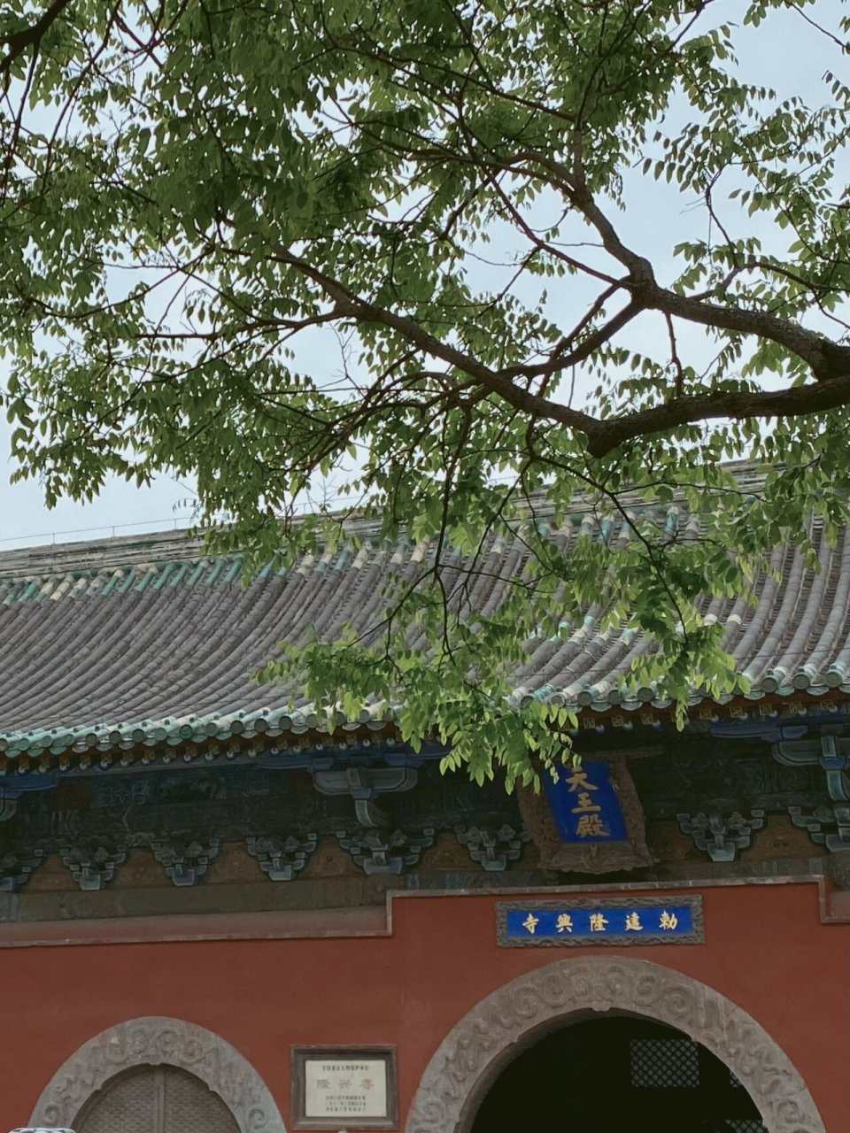 隆兴寺(河北省石家庄市正定县) 2023年04月23日 初次拜谒隆兴寺