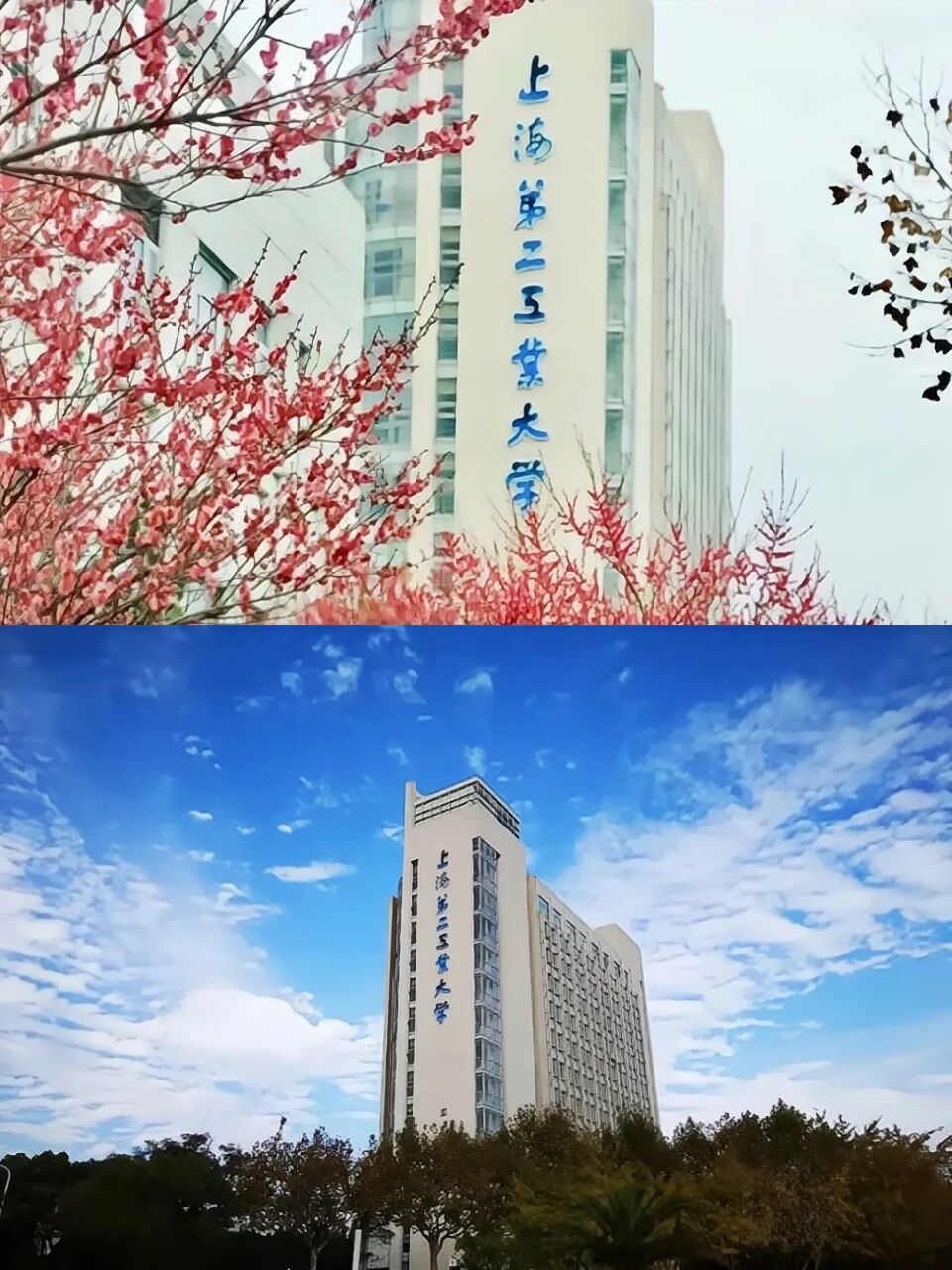 全日制专升本公办大学推荐(一) 上海第二工业大学介绍篇 上海第二工业