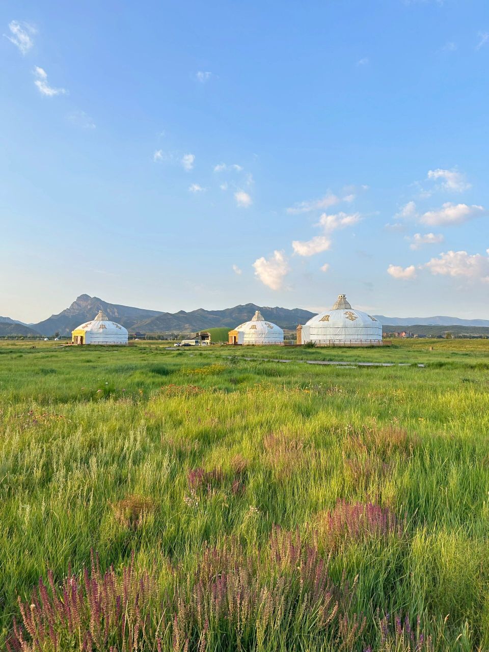 离呼市最近的草原|敕勒川草原 发现一片离呼市市区最近的草原,开车半