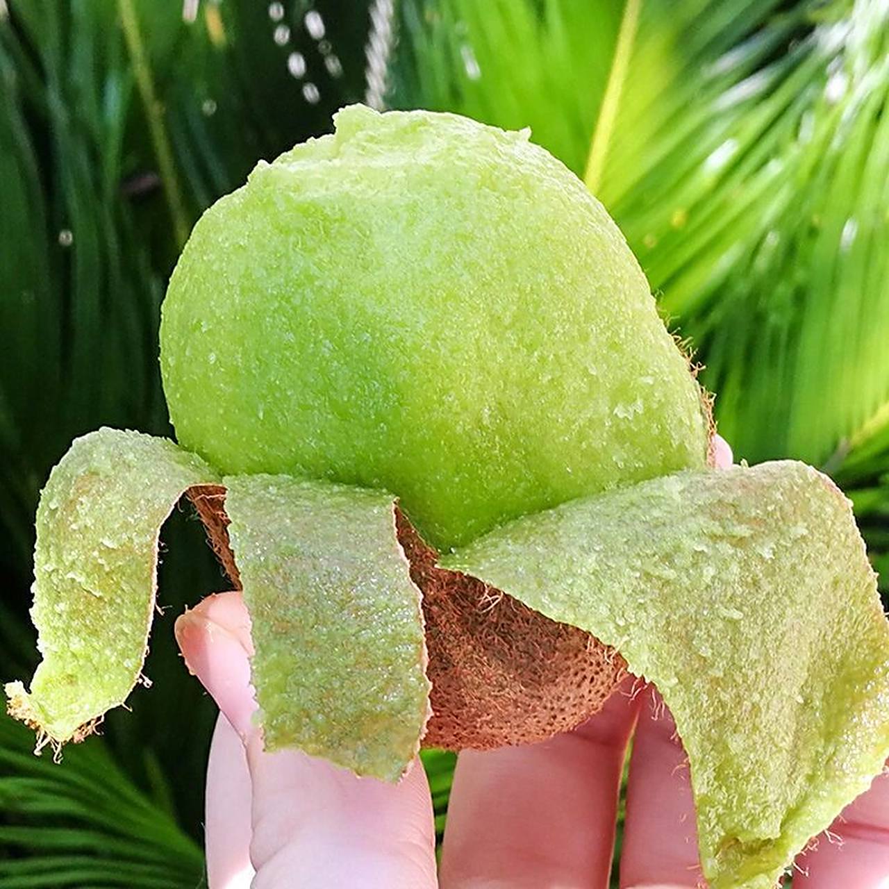 陕西绿心猕猴桃奇异果新鲜水果孕妇9到10斤 陕西绿心猕猴桃奇异果新鲜