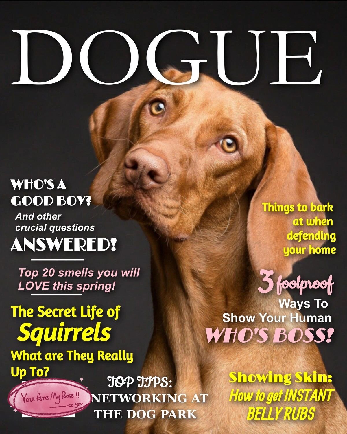 100|95宠物杂志封面设计 959595690008959595