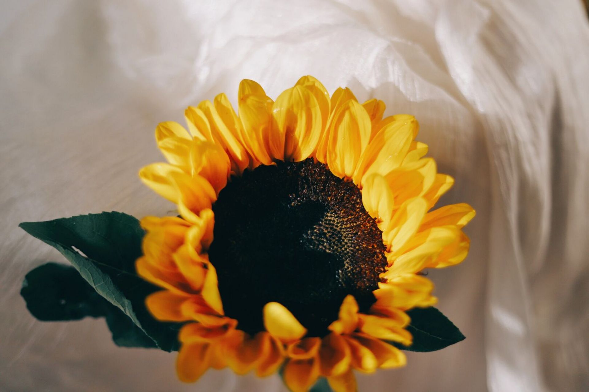 佳能6d2 小痰盂 夏天的云真的好漂亮啊 细碎的日常才是治愈生活的良药