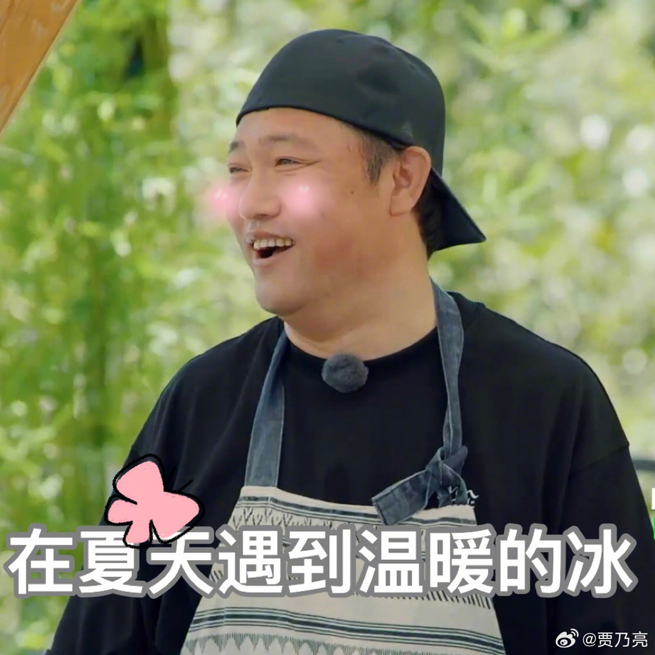 现在就出发# 这个夏天遇到了温暖的冰 @贾冰