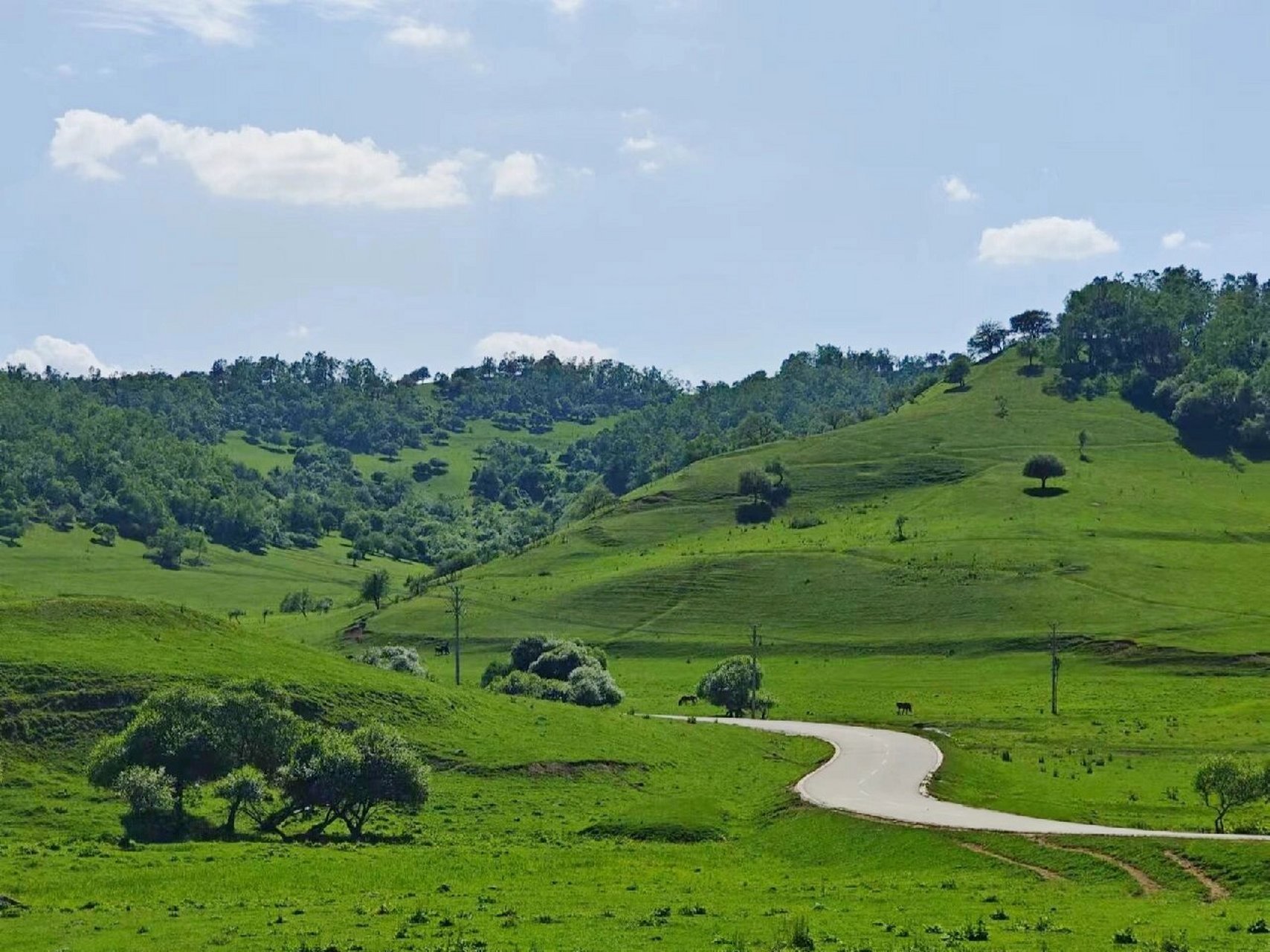 90关山牧场,也称关山草原,距西安市300公里,位于陇县西南部,是中国