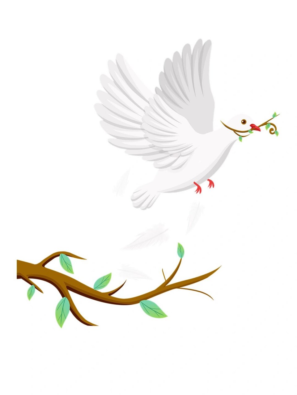 🕊️白鸽衔橄榄|免抠素材 🕊️白鸽是白色的,白色象征着纯洁