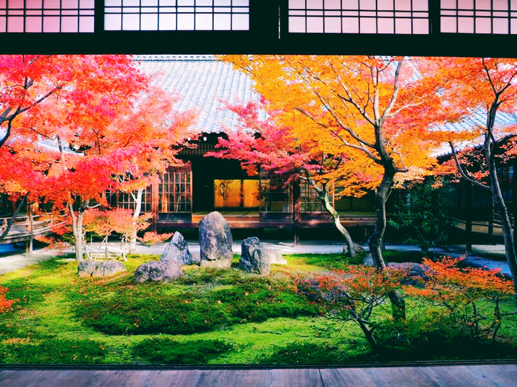 建仁寺,是京都最古老的寺院之一,有超过800年的历史! 1.